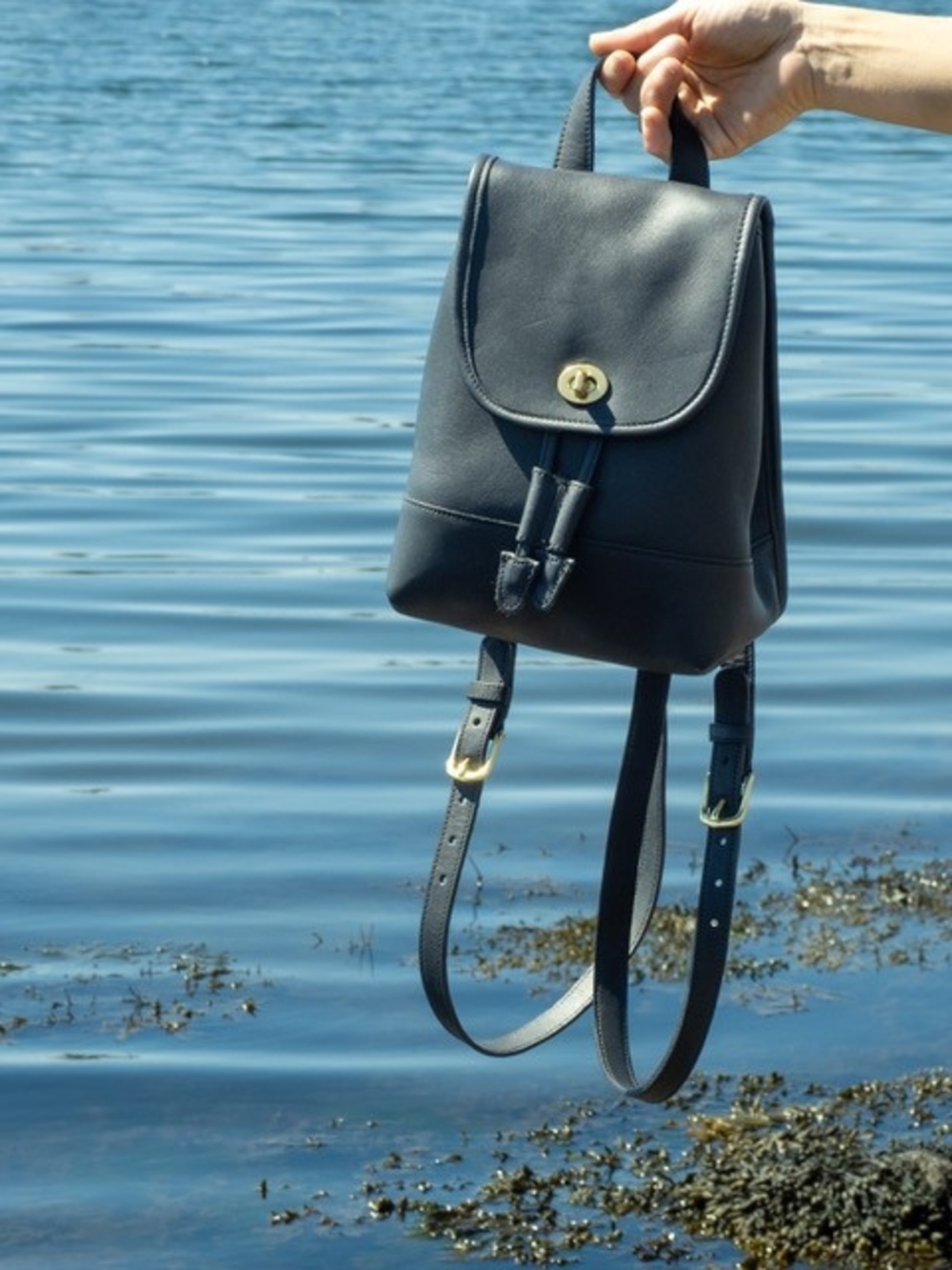 New, Vintage Coach Daypack